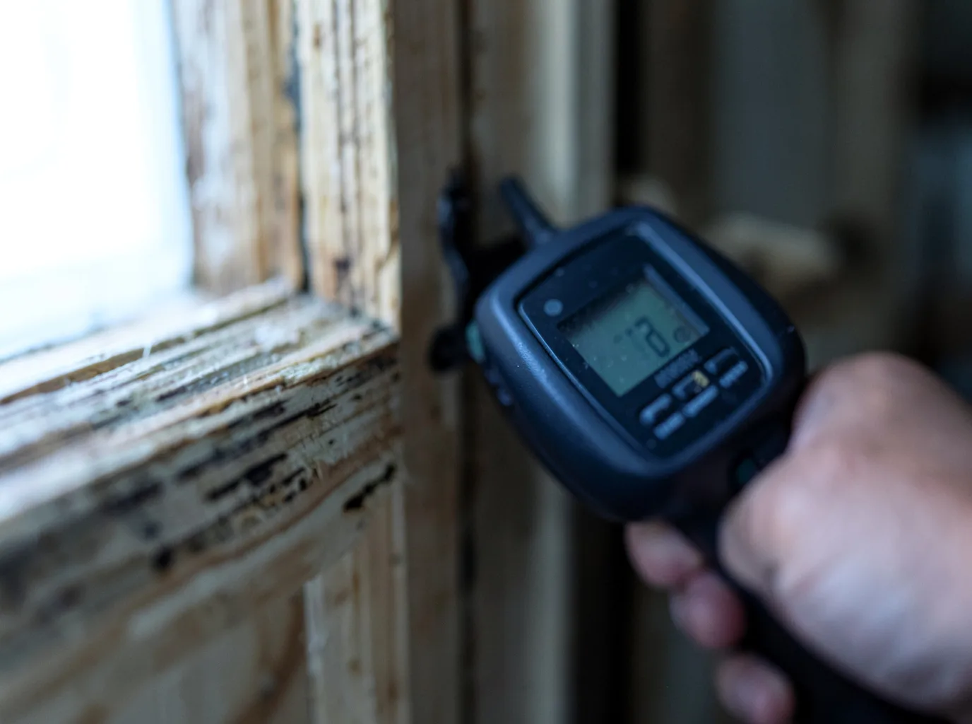 Commercial Water Damage Restoration in Penitas, TX